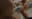 Video placeholder while the video loads, usually a bunch of blurry squiggles