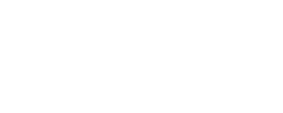 Steamline Luggage